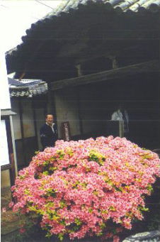 Photo Honjin