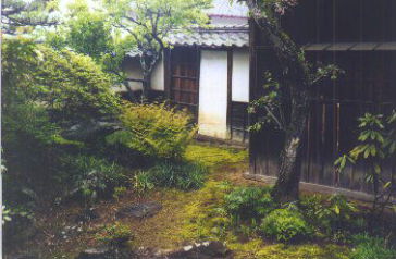 Photo Garden