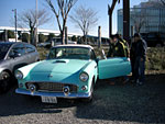 T Bird