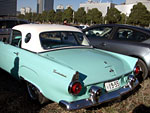 T Bird