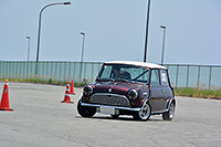 藤浪Mini