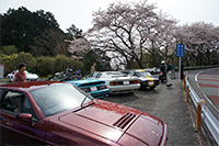 ターンパイク