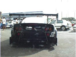 Elise Rear