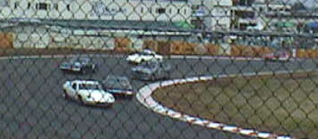 Lotus Cup